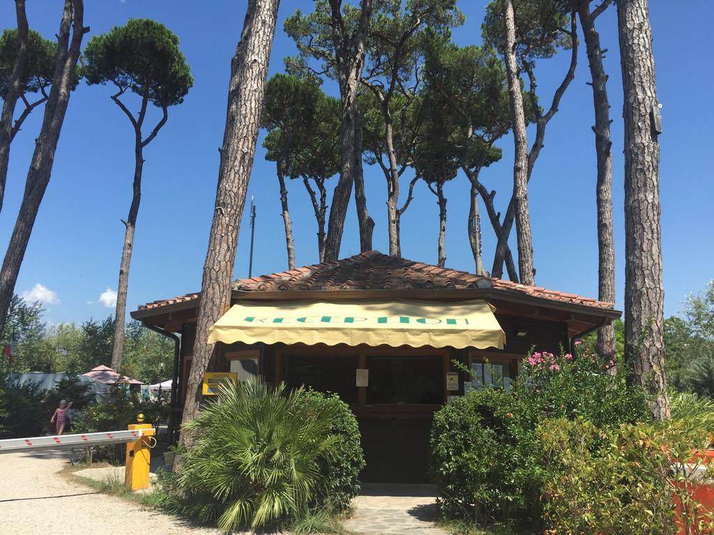 Camping Paradiso Viareggio Kültér fotó