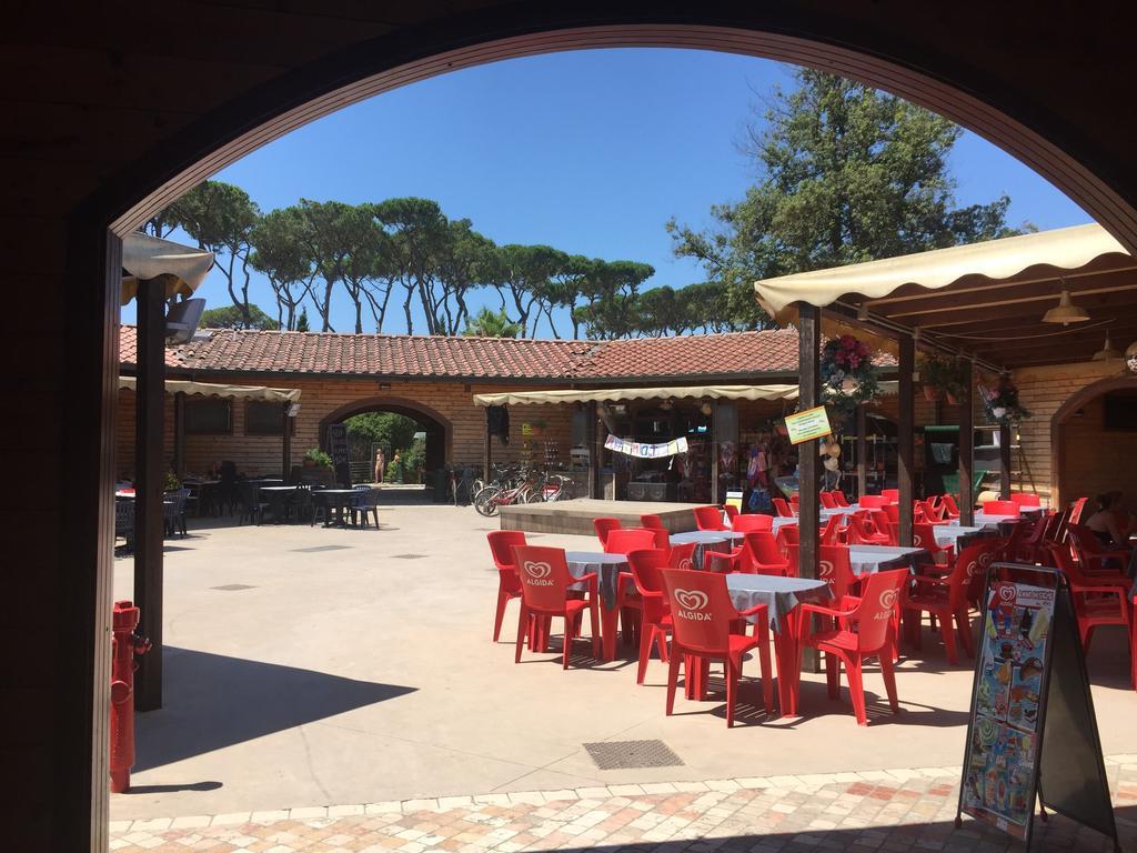 Camping Paradiso Viareggio Kültér fotó